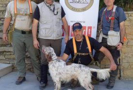 70831705_1323715284454594_6250916173060243456_n