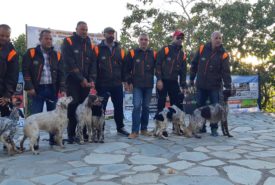 71598891_1331218093704313_5772753899173707776_o