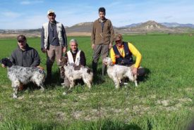 82916172_1446715492154572_5669177601734737920_n