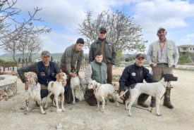 86461016_1464581583701296_79062239021105152_n