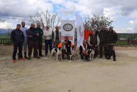 87418466_1469981936494594_5410275414058729472_n