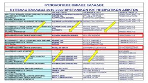 87526993_1480922048733916_2125518270420221952_o