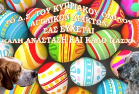 92660314_1514362345389886_3392416718025392128_o