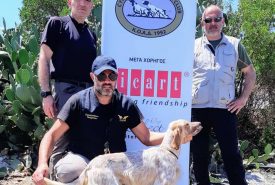 104936678_1577344132425040_4034683052564610653_n