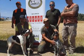 75246591_1584257281733725_8095340204684993933_n