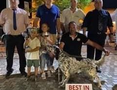 118851327_1650325161793603_677671080757130333_n