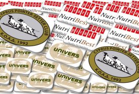 119468676_1657815734377879_4094032109357679727_o