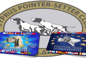 122189429_1692289807597138_7215228038042199578_o