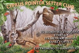 130764397_1742460025913449_3764244399137989457_n