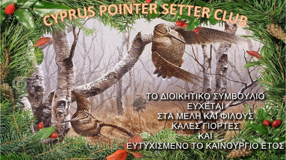 130764397_1742460025913449_3764244399137989457_n