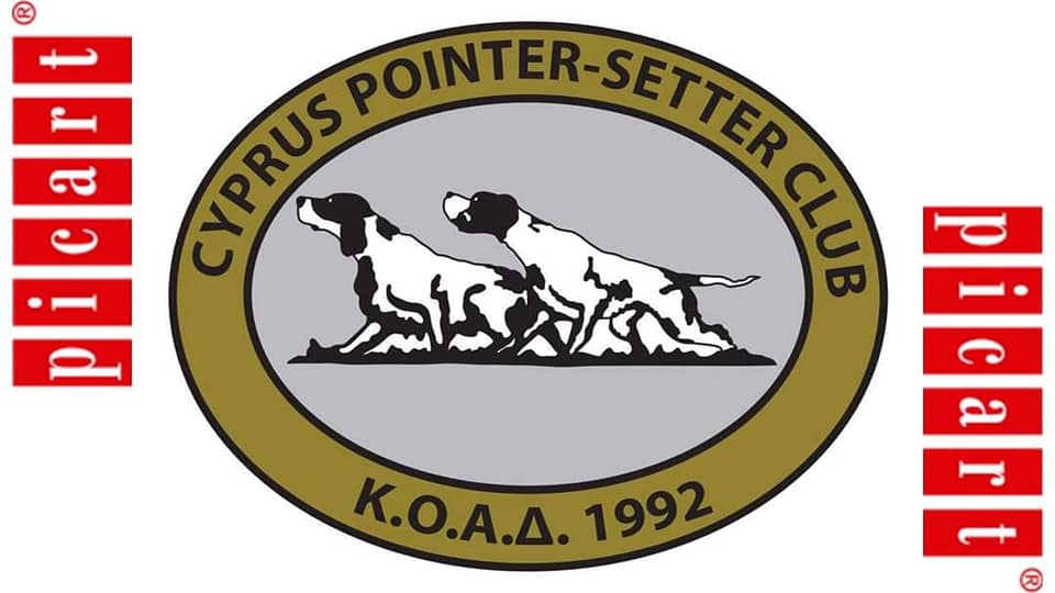 141404731_1776889929137125_7881663988327064021_n