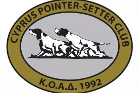 142070167_1778043955688389_5168820563599868942_n