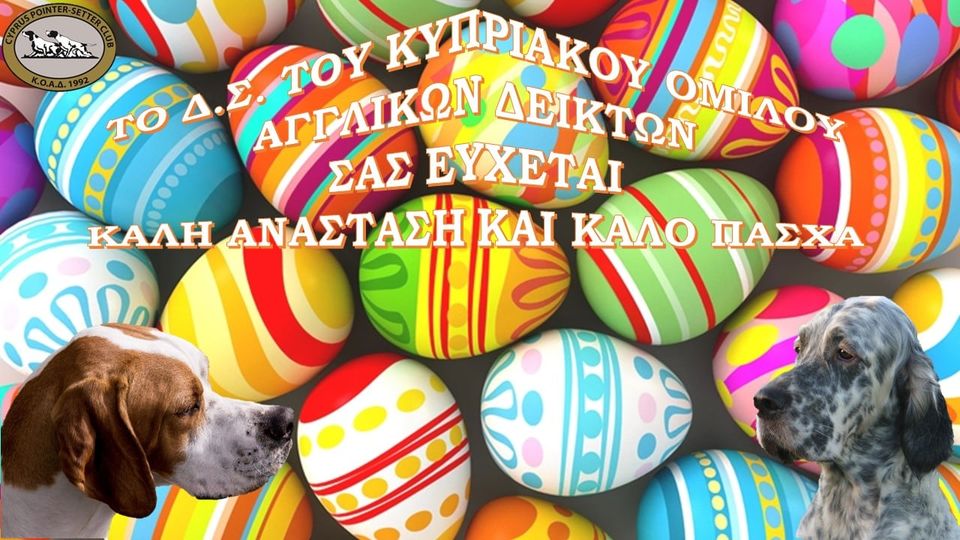 179473265_1849463111879806_8408128867077951500_n