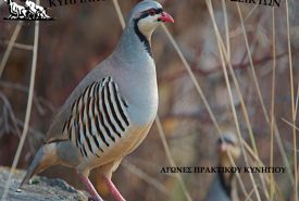 186245785_1860612317431552_3072674549704198704_n