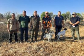 199924516_1885505208275596_1021523332427884324_n