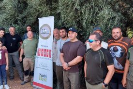 212462594_1901918569967593_2879444932297050990_n