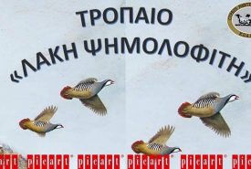 213607976_1903399513152832_8576362592558899752_n