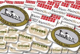 240946852_1945664618926321_3040829921118562861_n