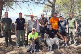 241535142_1952351614924288_7566805330918390574_n