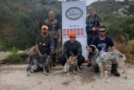 241830767_1956613311164785_6531959672748386228_n