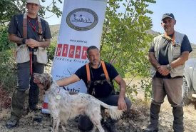 242360752_1962007230625393_1535820506697873156_n