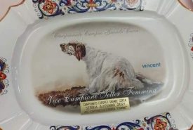 269819042_4719237641502646_511799724488967729_n