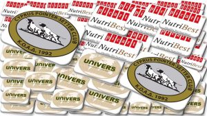 271688998_2048094198683362_3686624550148429284_n