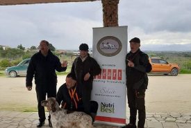 272946571_2063650510461064_7265098940478744968_n