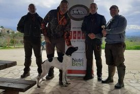 273462804_2069112016581580_529316889687696827_n