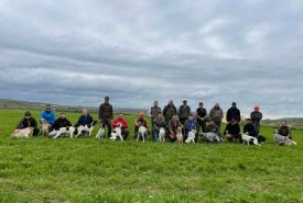 274548749_2079575142201934_846559854081786327_n