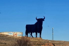 274996021_2085076698318445_792224954721464126_n