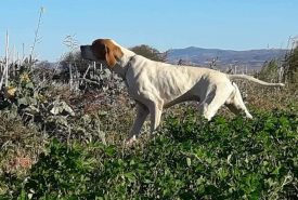 277819645_2113586658800782_8716420075844690994_n