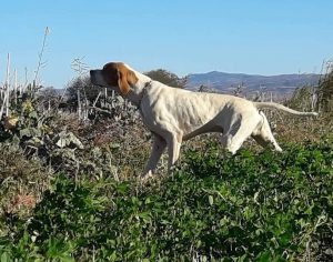 277819645_2113586658800782_8716420075844690994_n