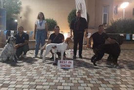 285182317_2161329684026479_2296250204098793881_n