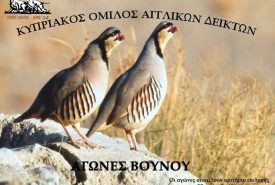 301907488_2224811321011648_5466044678471089109_n