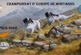 307515517_2244572212368892_8063868424884746157_n