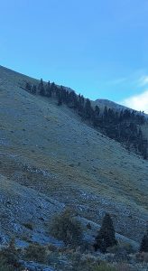 308668483_2249135401912573_7047335007867309589_n