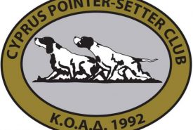 319281603_1050577719139745_8424319282334734283_n