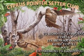 319313115_522937159589227_4477462580158500372_n