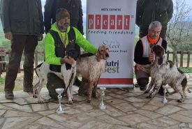 323292844_3335032113381307_1398894897012364226_n