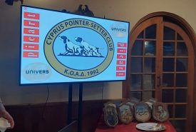 323426225_505766634876536_859240383525741947_n