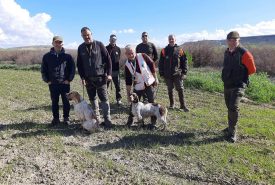 326335853_708184604363981_1807644781444762818_n