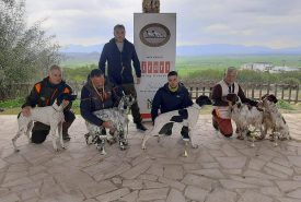 330757263_883186269597597_7311669604432169988_n