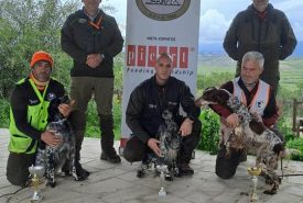 336707230_1626782351093822_2121456097159020111_n