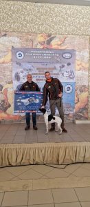 331436410_1567094190427018_6874255402502493079_n