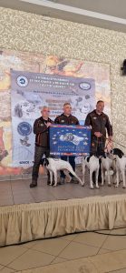 331510481_1673733693097375_80236913973009575_n