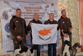 331735617_740869904268961_8268767386831001213_n