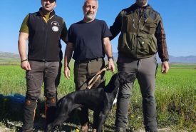 332503962_895629585225451_3101291174009368569_n