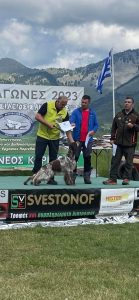 347413619_268587152246808_6335309184474635107_n