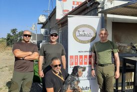 347424814_1163358144528368_5173965053539501693_n